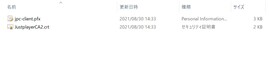 检查下载的文件
